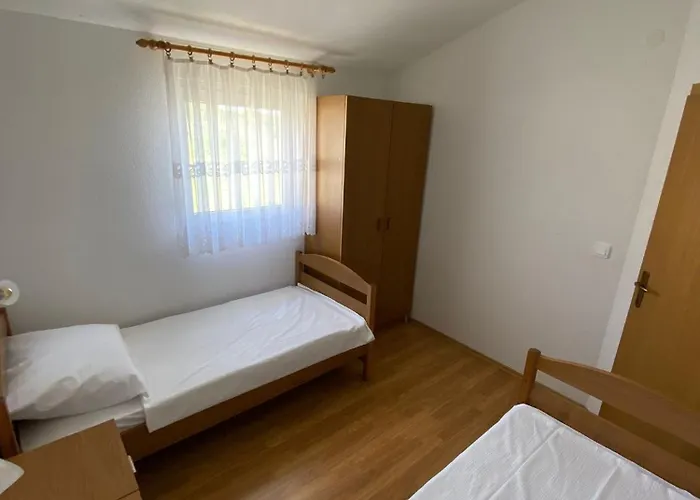 Palma * 비르